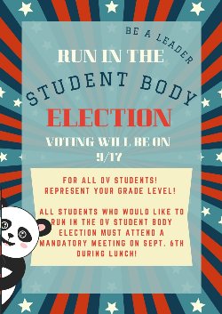 Student Body Elections Flyer